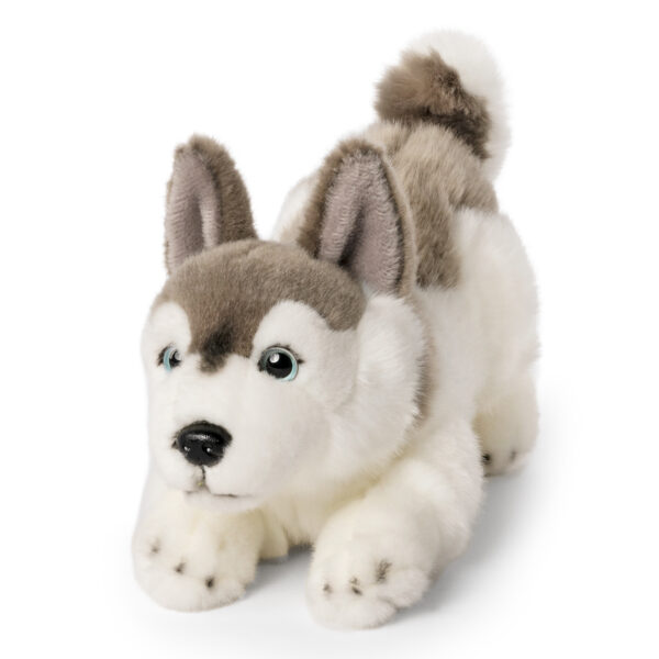 LIVING NATURE Husky spielender Welpe