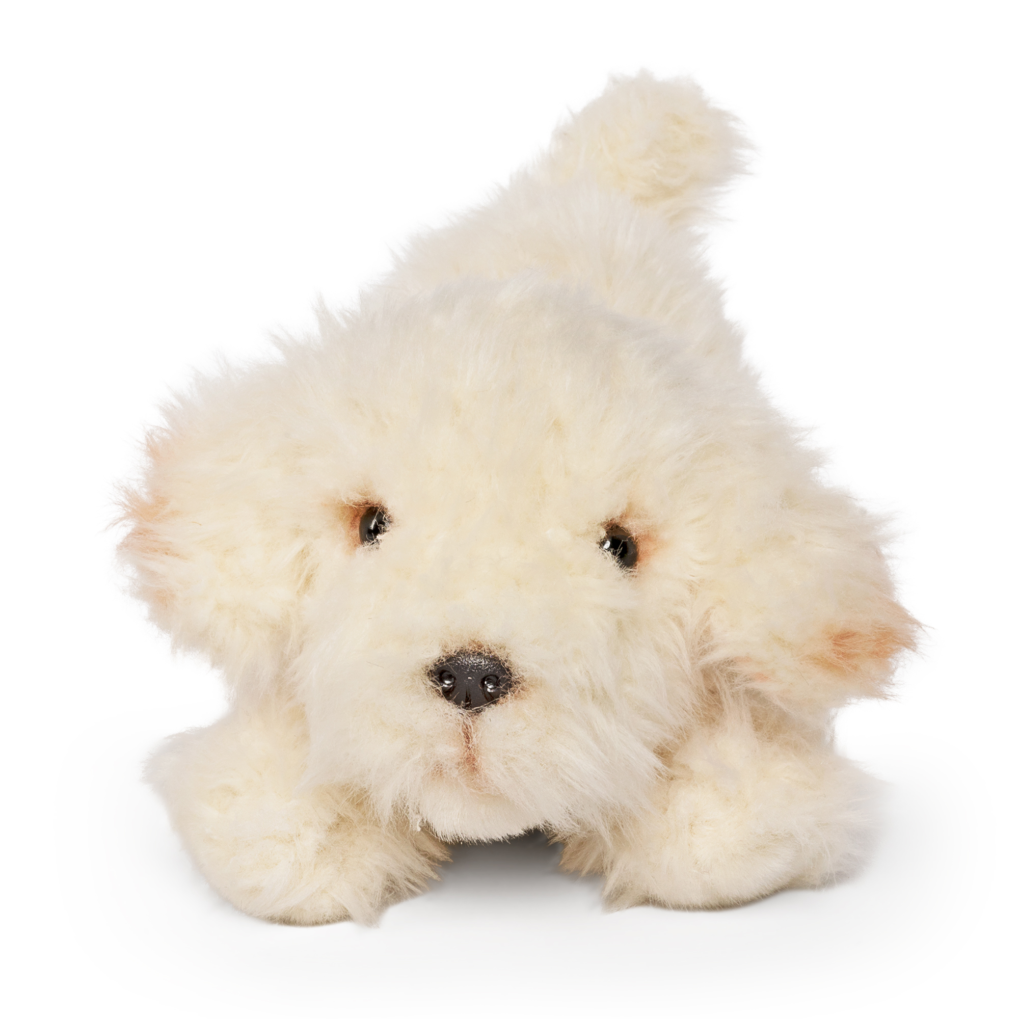 LIVING NATURE Labradoodle spielender Welpe