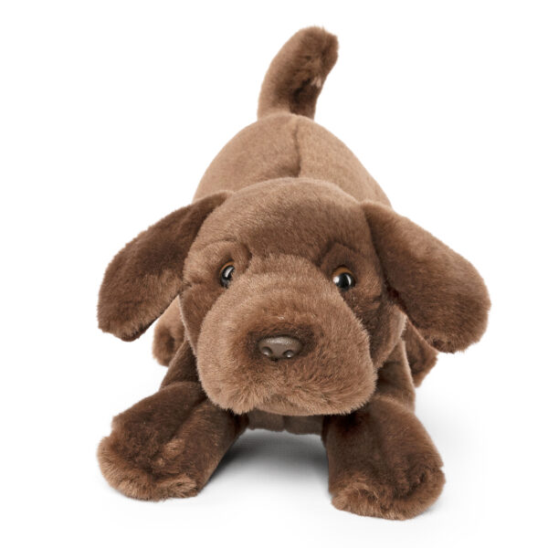LIVING NATURE Schoko Labrador spielender Welpe