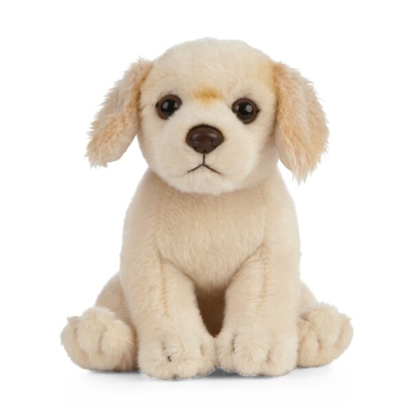 LIVING NATURE Golden Retriever Welpe