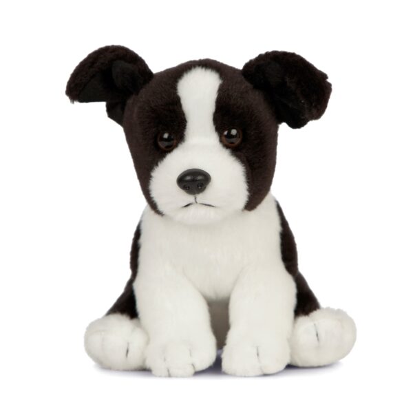 LIVING NATURE Border Collie Welpe