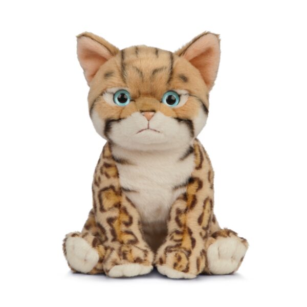 LIVING NATURE Bengalisches Kätzchen