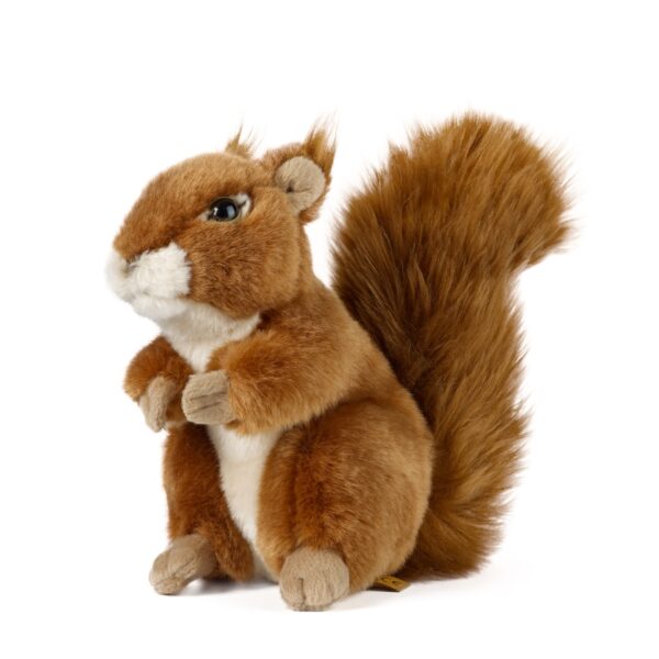 LIVING NATURE Eichhörnchen