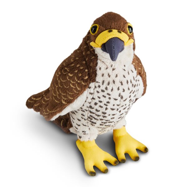 LIVING NATURE Wanderfalke