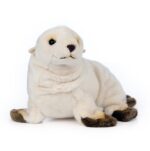 LIVING NATURE Seelöwenjunges – Bild 2