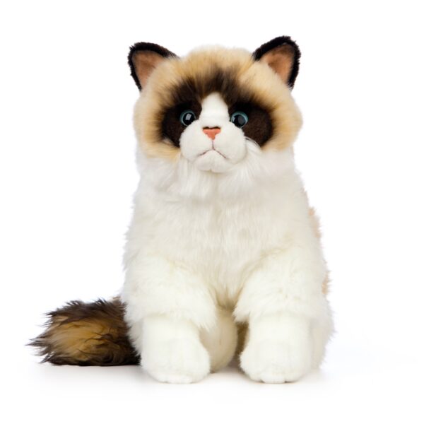 LIVING NATURE Ragdoll Katze