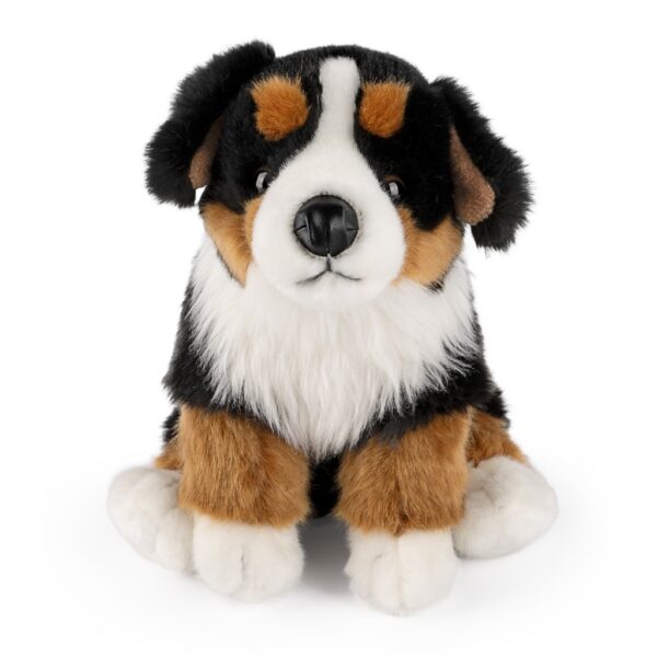 LIVING NATURE Berner Sennenhund