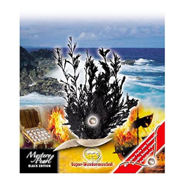 Wundermuschel m. Perle