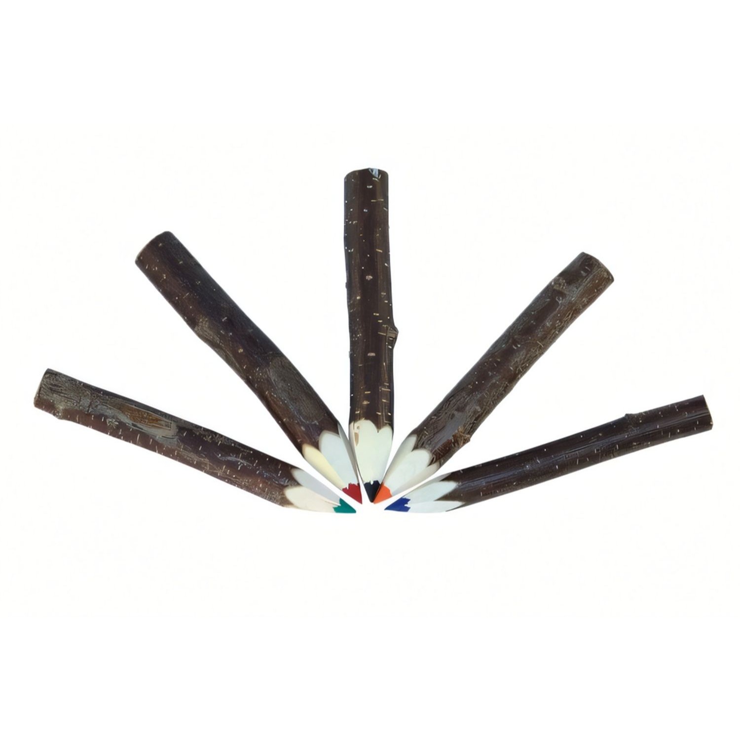 Ast-Malstifte, 5 Farben sortiert; durchgehende Mine!